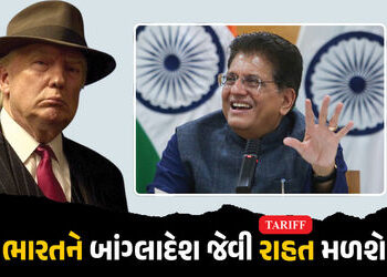 ભારત-અમેરિકા ટ્રેડ ડીલ અંગે મોટા સમાચાર: આ સેક્ટરમાં ટૅરિફ 0 થવાની આશા, પિયુષ ગોયલે આપ્યા સંકેત | In…