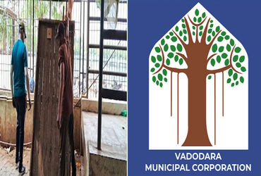 શિવોત્સવમાં કેન્દ્રીય ગૃહમંત્રી અને નાયબ મુખ્યમંત્રીના આગમનને ધ્યાનમાં રાખી વડોદરા કોર્પોરેશન દ્વારા…