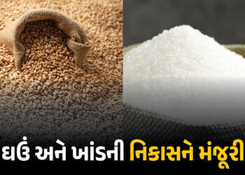 ખેડૂતો માટે કેન્દ્ર સરકારનો મોટો નિર્ણય! 25 લાખ ટન ઘઉં અને 5 લાખ ટન ખાંડની નિકાસને આપી લીલીઝંડી | Go…