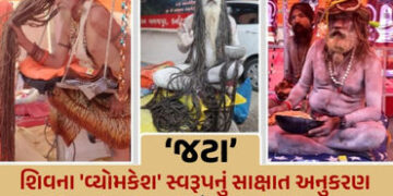 ભવનાથનો મેળો: નાગા સાધુઓની ‘જટા’ પાછળનું રહસ્ય, કેમ શિવના વૈરાગી સ્વરૂપનું કરે છે અનુકરણ? | Junagadh…