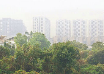 વડોદરાના લોકોએ પણ દિલ્હીની જેમ માસ્ક અને એર પ્યુરિફાયર સાથે જીવવું પડશે | people in vadodara will no…