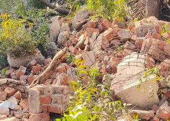 જર્જરિત સરકારી બિલ્ડીંગ તોડતા સમયે કાટમાળ વૃક્ષ-વીજ પોલ પર પડયો | While demolishing a dilapidated go…