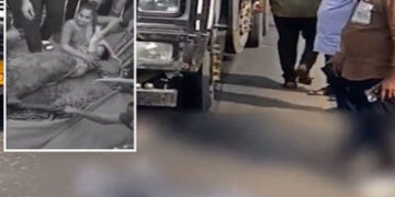 સુરત: લસકાણામાં કાળમુખી ટ્રકે મોપેડને હડફેટે લીધી, એકનું મોત બે લોકો ઈજાગ્રસ્ત | Surat Accident: Spe…