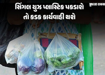 અમદાવાદમાં પ્રતિબંધિત પ્લાસ્ટિક પકડાશે તો ખેર નહીં, દુકાન કે ફેક્ટરી સીલ તેમજ પેનલ્ટી સુધીની કાર્યવા…