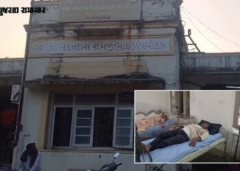 અમરેલીમાં ઝેરી મધમાખીનો આતંક, લાઠીના ઝરખીયા ગામમાં બેઠેલા 6 લોકોને મધમાખી કરડી, તમામને હોસ્પિટલ ખસેડ…