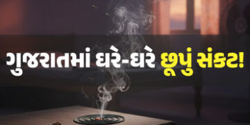 સાવધાન! ‘હર્બલ’ના નામે 10 રૂપિયામાં વેચાતી મચ્છર અગરબત્તી પડી શકે છે મોંઘી, ગુજરાત ગેરકાયદે ઉત્પાદનન…