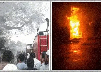 છોટાઉદેપુરના બોડેલીમાં મેઈન બજારમાં ભીષણ આગ, વહેલી સવારે અફરાતફરી, અનેક દુકાનો બળીને રાખ | Bodeli Ma…