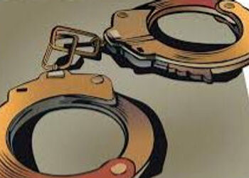 વડોદરામાં અગાઉ વાહનચોરીમાં પકડાયેલાે વાહન ઉઠાવગીર ફરી ચોરીની બે બાઇક સાથે પકડાયાે | vehicle thief ca…