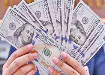 રૂપિયાને સુરક્ષિત રાખવા RBI એ રેકોર્ડ 10 બિલિયન ડોલરનું વેચાણ કર્યું | RBI sells record 10 billion t…