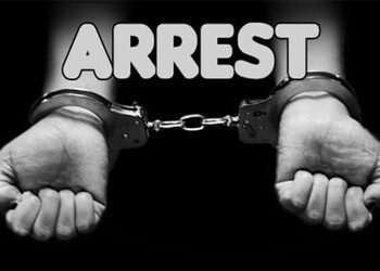 જામનગરના સિક્કામાંથી 2.06 કરોડનાં એમ્બર ગ્રીસ સાથે શખ્સ ઝડપાયો | Man caught with amber grease worth …