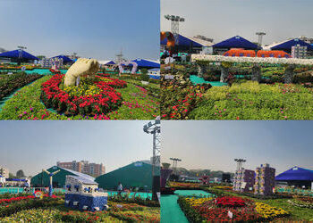 સુરત પુસ્તક મેળામાં અમદાવાદની નબળી કોપી કર્યાનો મુલાકાતીઓનો આક્ષેપ | Visitors allege poor copying of…