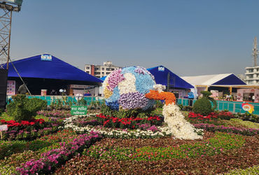 સુરત: પુસ્તક મેળાના ડોમ માટે 63 ટકા ઉંચા ટેન્ડર છતાં ઉદ્દઘાટનમાં જ અવ્યવસ્થા | 63 percent high tende…