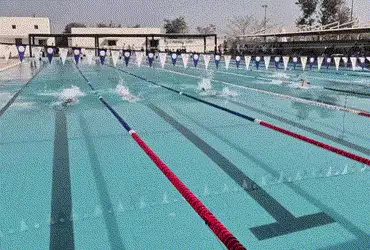 હિંમતનગરમાં યોજાઈ ખેલ મહાકુંભની સ્વિમિંગ સ્પર્ધા, રાજ્યભરના 300થી વધારે સ્પર્ધકોએ કૌશલ્ય અજમાવ્યું |…