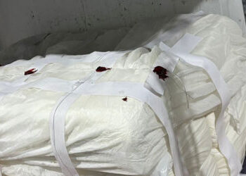 અમદાવાદમાંથી ૧૭૩ કિલોગ્રામ એનાલોગ પનીરનો જથ્થો સ્થગિત | Deceiving the consumer by presenting analog …