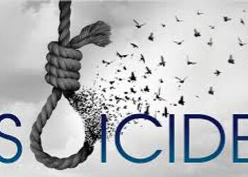 કલરકામ કરતા યુવાનનો ગળા ફાંસો ખાઇને આપઘાત | A young man who was doing painting committed suicide by …