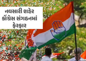 ગુજરાતમાં ચૂંટણી પહેલા કોંગ્રેસ સંગઠનમાં મોટા ફેરફાર, નવસારી શહેર પ્રમુખ તરીકે આ નેતાની નિમણૂક | Dee…