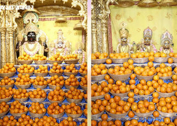 વડતાલ: આમલકી એકાદશીએ સ્વામિનારાયણ ભગવાનને ધરાવાયો 665 કિલો નારંગીનો અન્નકૂટ | 665 kg Orange Annakut …