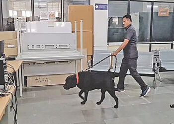 આણંદની પોસ્ટ ઓફિસ અને પાસપોર્ટ ઓફિસમાં પોલીસનું ચેકિંગ | Police checking at Anand post office and pa…