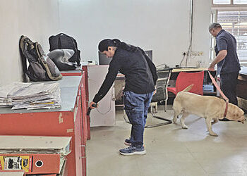 નડિયાદની પાસપોર્ટ ઓફિસમાં ડોગ સ્કોવર્ડ સહિતની મદદથી તપાસ | Investigation conducted at Nadiad passpor…