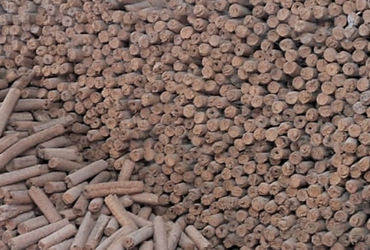 વૈદિક હોળી માટેનો ક્રેઝ વધ્યો , અમદાવાદ મ્યુનિ.એ હોળી કીટ માટેના ઓર્ડર લેવાનુ બંધ કર્યું | The craze…