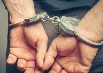 સાવલીના પોઇચા ગામના ફાર્મ હાઉસના માલિક અને ભાજપના પૂર્વ હોદ્દેદારની ધરપકડ | Farm house owner and for…