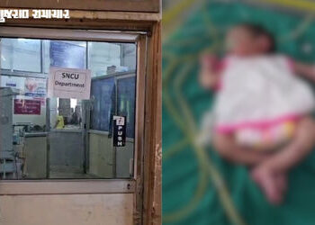 પંચમહાલ: શહેરાના જંગલમાં ત્યજી દેવાયેલી નવજાત બાળકી મળી, લાકડા વીણવા ગયેલો સ્થાનિક ‘દેવદૂત’ બન્યો | …