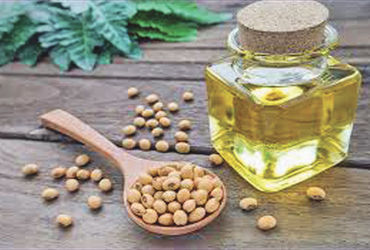 SAFTA કરાર હેઠળ ડયુટી મુક્ત વેપારના કારણે 2025માં નેપાળની ભારતમાં સોયાતેલની નિકાસ 10 ગણી વધી | Nepal…