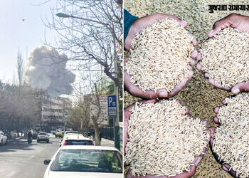 યુદ્ધની અસર! શિપમેન્ટ અટકતા ભારતના ચોખા નિકાસકારોના કરોડો રૂપિયા ફસાયા, વેપારીઓને મોટું નુકસાન | Ira…