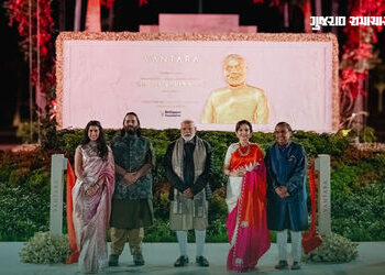 Vantara Foundation Day: વન્યજીવો માટે આશીર્વાદ બન્યું ‘વનતારા’! એક વર્ષમાં હજારો પ્રાણીઓને નવજીવન | …