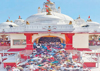 ડાકોરમાં આસ્થાનો મહાકુંભ : 5 લાખથી વધુ ભક્તોએ રણછોડરાયજીના દર્શન કર્યા | More than 5 lakh devotees h…