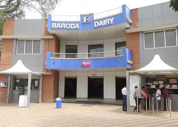 મેન્ડેટ નહિ આવતાં બરોડા ડેરીમાં પક્ષના નામે ફોર્મ ભરનારા ઉમેદવારો સલવાયા | Candidates who filled the…