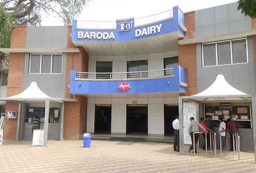 મેન્ડેટ નહિ આવતાં બરોડા ડેરીમાં પક્ષના નામે ફોર્મ ભરનારા ઉમેદવારો સલવાયા | Candidates who filled the…