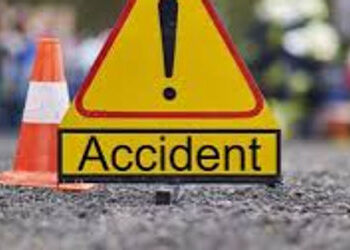 કોટણા ગામે લાઇન રિપેર કરવા જતા હેલ્પરની બાઇકને વાહને ટક્કર મારતા મોત | Helper dies after being hit b…