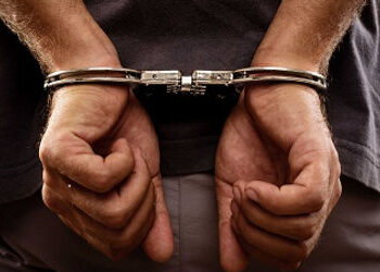 તરસાલીના ફાર્મ હાઉસ બહાર કારમાંથી 3000 ડોલર અને 6 બેગો ચોરનાર રીઢો આરોપી પકડાયો | accused caught in …