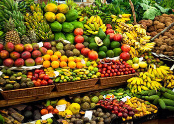 ભારતના ફળોના એક હજાર કન્ટેનર ખાડી દેશોમાં ફસાયા, ખેડૂતોને ફટકો | One thousand containers of Indian f…