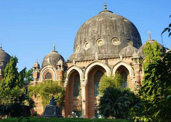 એમ.એસ.યુનિ.ના 498 કરોડના બજેટને એક્ઝિક્યુટિવ કાઉન્સિલે મંજૂરી આપી | msu budget approved