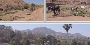 છોટા ઉદેપુર: નસવાડીના 100થી વધુ ગામોમાં જળ સંકટ! 10 વર્ષથી ચેકડેમોનું રિપેરિંગ ન થતાં નદીઓ કોરીધાકોર…