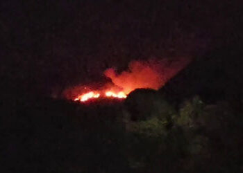 પાડોશી રાજ્યની આગ ગુજરાતના છોટા ઉદેપુર સુધી પહોંચી, વાઘ સ્થળના જંગલોમાં ભીષણ દાવાનળ | chhotaudepur v…