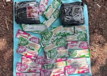 નરોડામાં રહેતા યુવક-યુવતીએ દેશભરમાં એસકોર્ટ નેટવર્ક બનાવ્યું હતું | goa police burst nation wide sex…