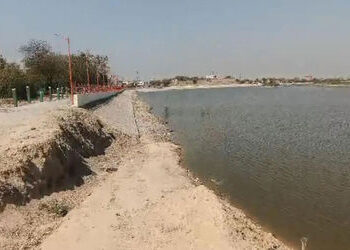 પાટડી તળાવ બ્યુટીફિકેશનમાં રોયલ્ટી કૌભાંડનો આક્ષેપ ઃ સીએમઓ માં ફરિયાદ | Allegation of royalty scam i…