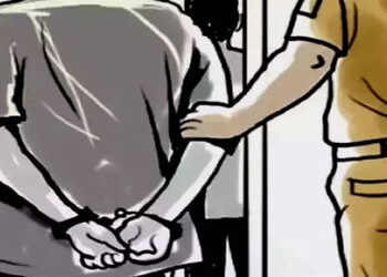 હળવદ પંથકની યુવતીને નોકરીની લાલચ આપી ઘનશ્યામપુરના શખ્સે દુષ્કર્મ આચર્યું | A man from Ghanshyampur r…