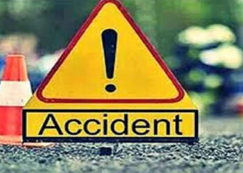 લાલી પાસે બાઇક ગટરમાં ખાબકતા ઘાયલ ચાલકનું મોત | Driver dies after bike falls into drain near Lali