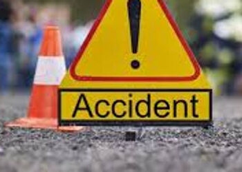 બાઇક ચાલકે ટક્કર મારતા મોેપેડ પર જતા વૃદ્ધનું મોત | Elderly man riding moped dies after being hit by…