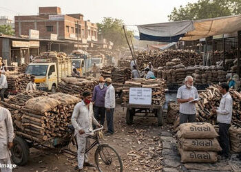 અમદાવાદમાં અછત અને અફવાને કારણે લાકડા તથા કોલસાની માગ 25થી 30 ટકા વધી ગઈ! | Ahmedabad: Wood and Coal…