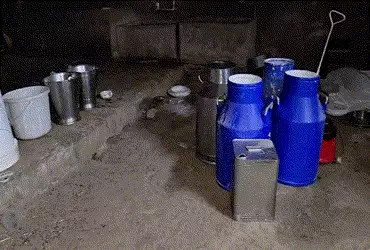 અમરેલી: ખાંભાના ઇંગોરાળામાં નકલી દૂધ બનાવવાનું કૌભાંડ ઝડપાયું, મોટા પ્રમાણમાં વનસ્પતિ તેલ મળ્યું | F…