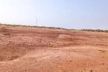 મુળી અને ચોટીલા પંથકમાં તળાવો તળિયાઝાટક : પશુપાલકોની હિજરત શરૂ | Lakes in Muli and Chotila parishes …