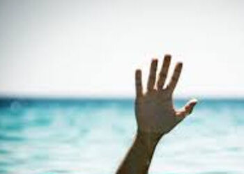 પાદરા ના ડભાસા ગામના યુવાને કેનાલમાં ઝંપલાવી જીવન ટૂંકાવ્યું | A youth from Dabhasa village of Padra…