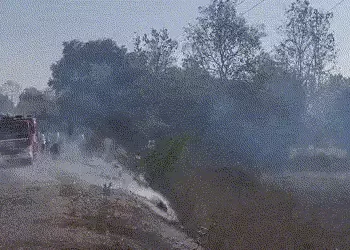 પંચમહાલ: શહેરાના પાલીખંડા રોડ પર ખેતરમાં ભીષણ આગ, કાળઝાળ ગરમી વચ્ચે પાક બળીને ખાખ | Crop Destroyed a…