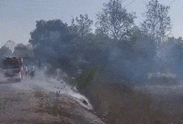 પંચમહાલ: શહેરાના પાલીખંડા રોડ પર ખેતરમાં ભીષણ આગ, કાળઝાળ ગરમી વચ્ચે પાક બળીને ખાખ | Crop Destroyed a…