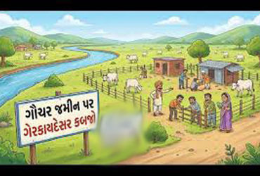 ધ્રાંગધ્રાના જસાપરમાં ગૌચર જમીન પર ભૂમાફિયાઓનો કબજો યથાવત્ | Land mafia continues to occupy grazing …